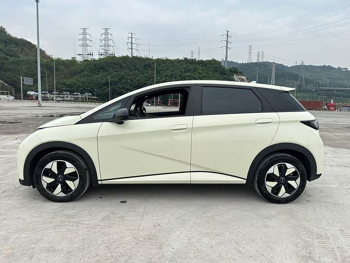 Фото 3 - BYD Dolphin