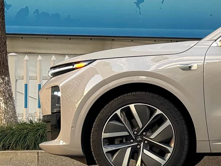 Фото 10 - LiXiang L6