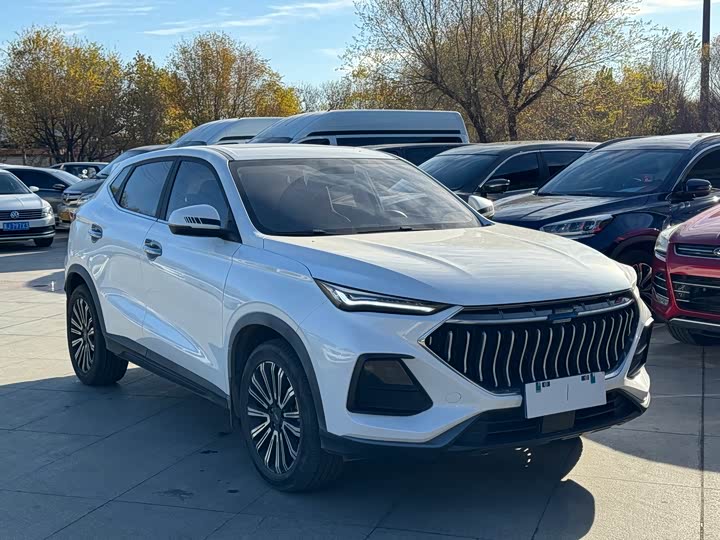 Фото 3 - Changan Oshan X5