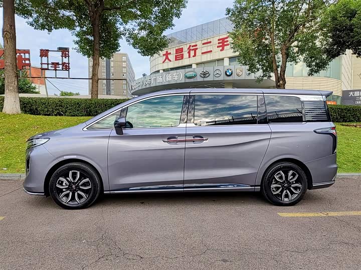 Фото 3 - Hongqi HQ9