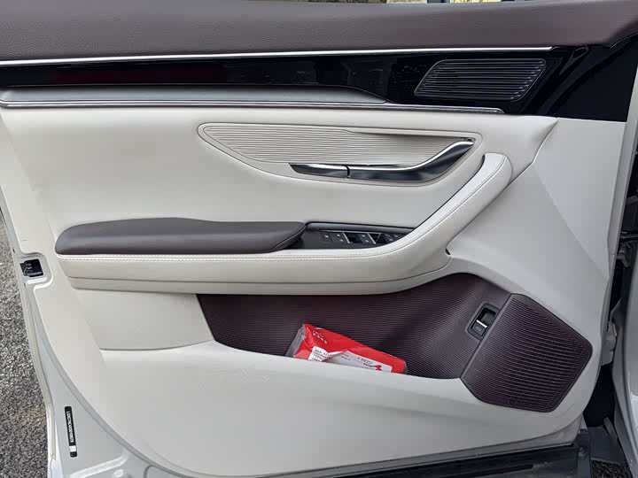 Фото 20 - BYD Song Plus Hybrid/EV