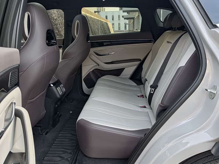 Фото 8 - BYD Song Plus Hybrid/EV