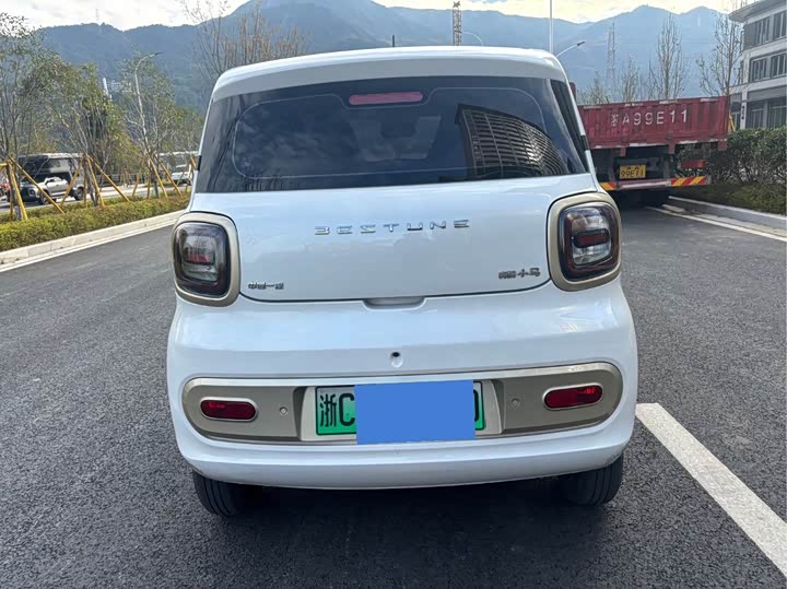 Фото 8 - Bestune Pony