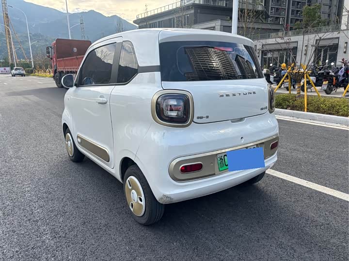 Фото 9 - Bestune Pony