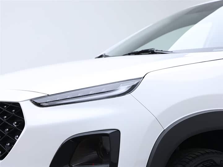 Фото 18 - Chery Tiggo 3x