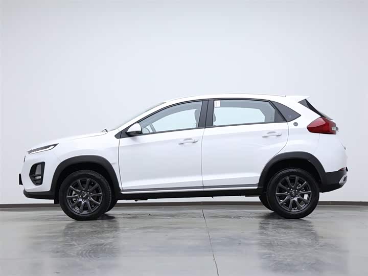 Фото 5 - Chery Tiggo 3x