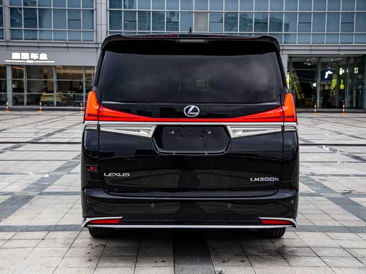 Фото 12 - Lexus LM