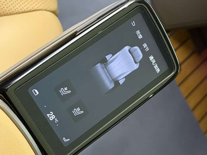 Фото 10 - Denza D9