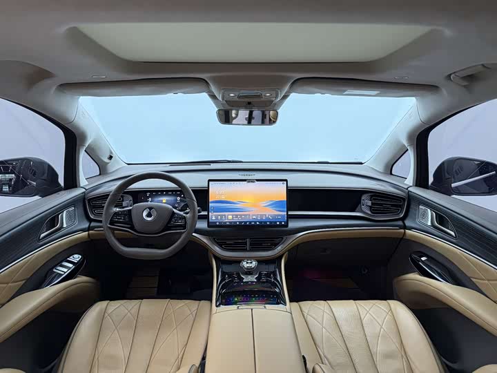 Фото 12 - Denza D9