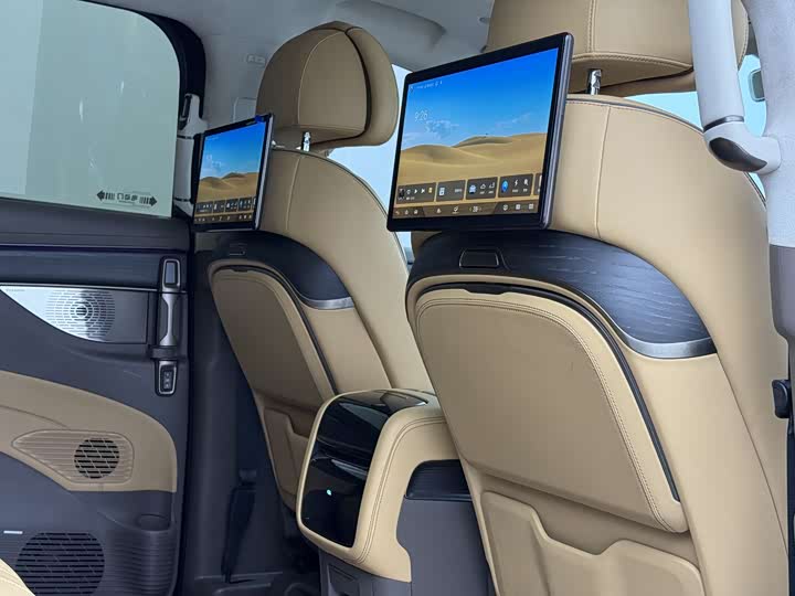 Фото 15 - Denza D9