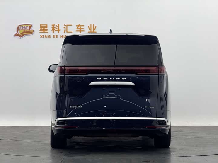 Фото 19 - Denza D9