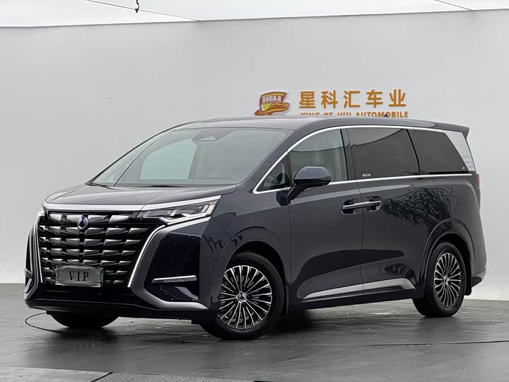 Фото 2 - Denza D9