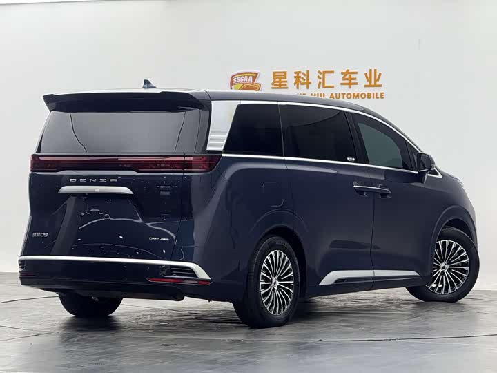 Фото 20 - Denza D9