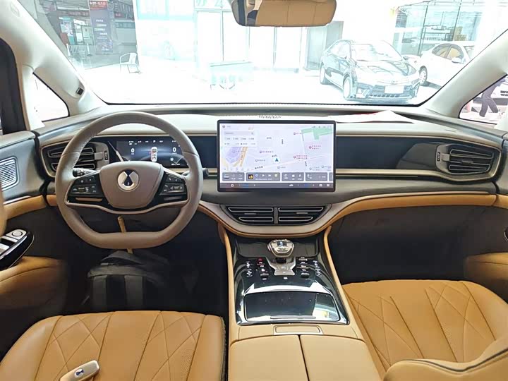 Фото 10 - Denza D9