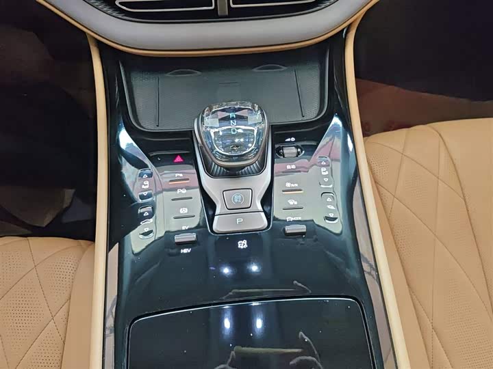 Фото 14 - Denza D9