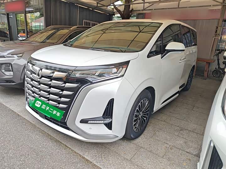 Фото 2 - Denza D9