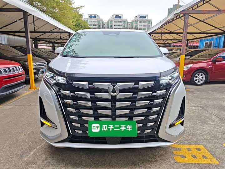 Фото 3 - Denza D9