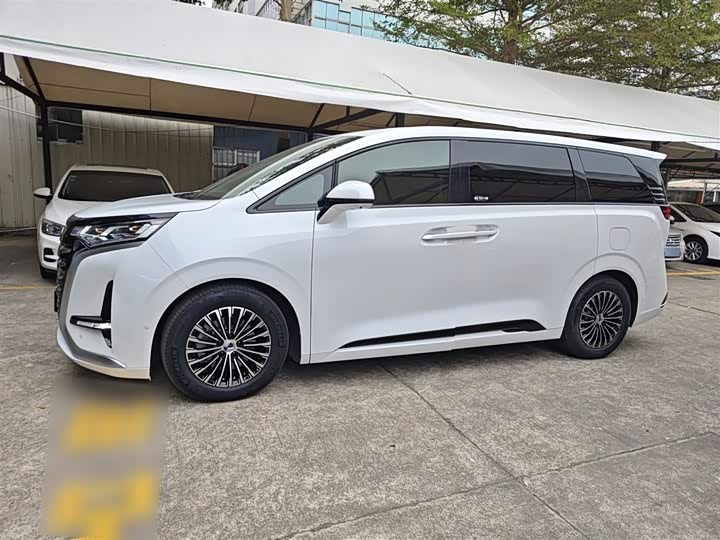 Фото 5 - Denza D9