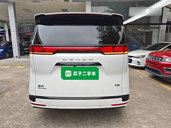 Фото 6 - Denza D9