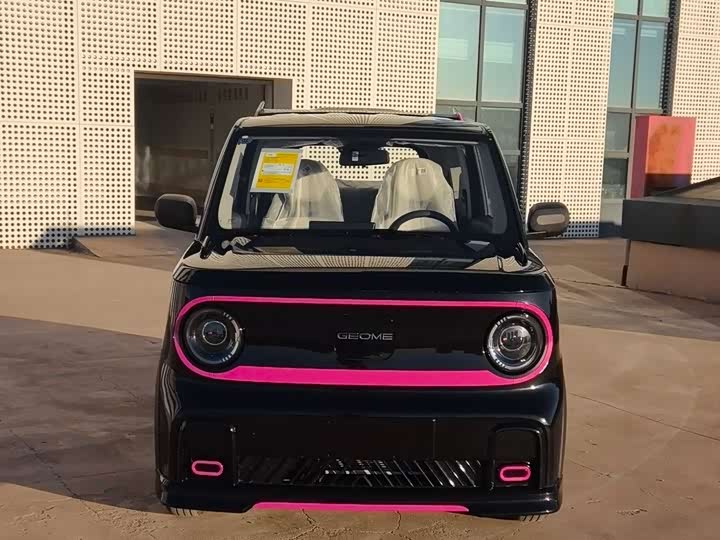 Фото 2 - Geely Galaxy Panda Mini