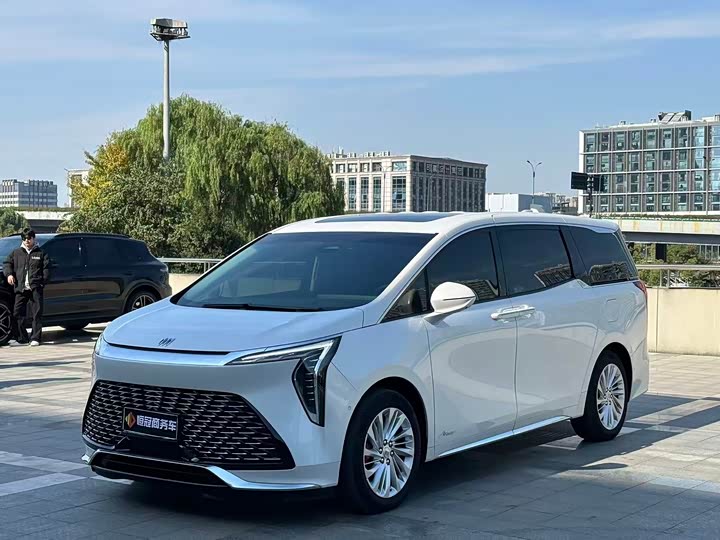 Фото 1 - Buick GL8 Century