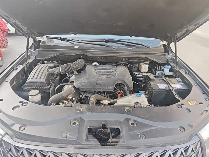 Фото 11 - Great Wall Pao