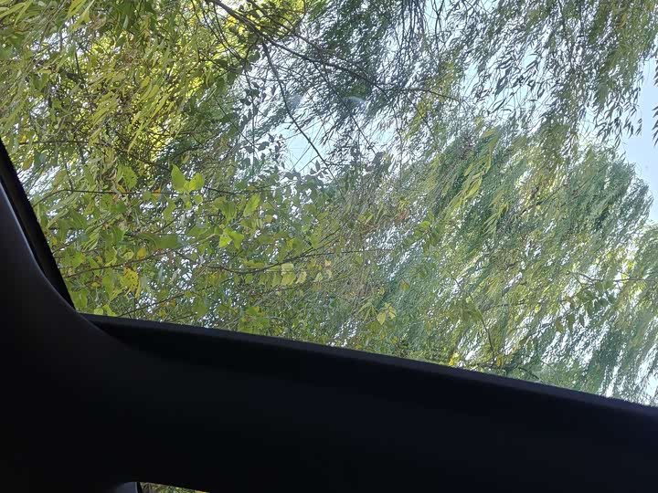 Фото 12 - Mercedes-Benz A-Class