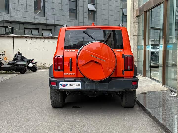 Фото 5 - Tank 300