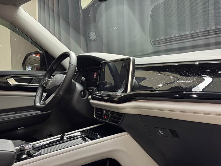 Фото 29 - Volkswagen Teramont Pro