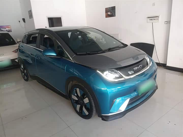 Фото 4 - BYD Dolphin