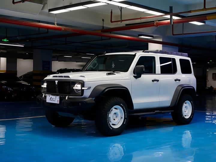 Фото 1 - Tank 300