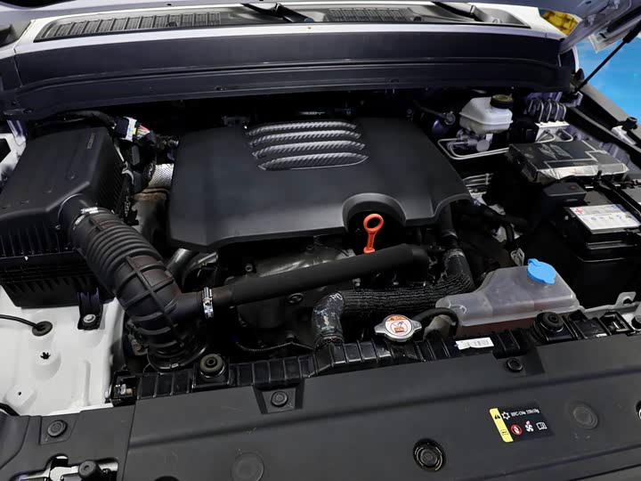 Фото 14 - Tank 300