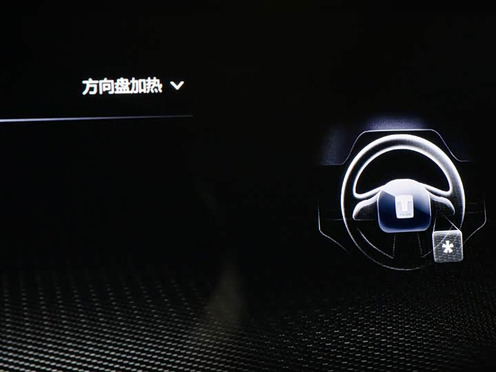 Фото 23 - Tank 300