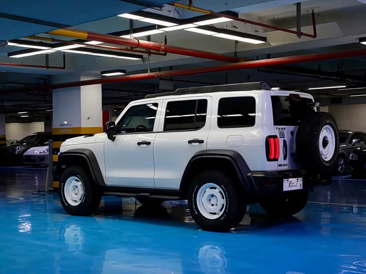 Фото 3 - Tank 300