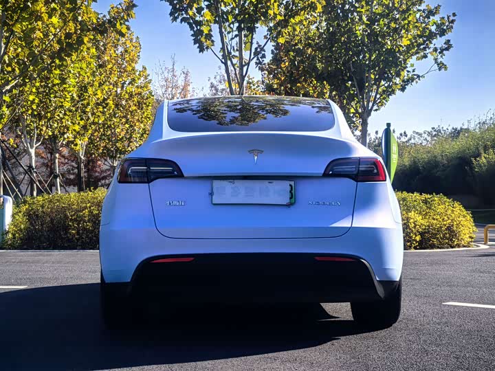 Фото 9 - Tesla Model Y