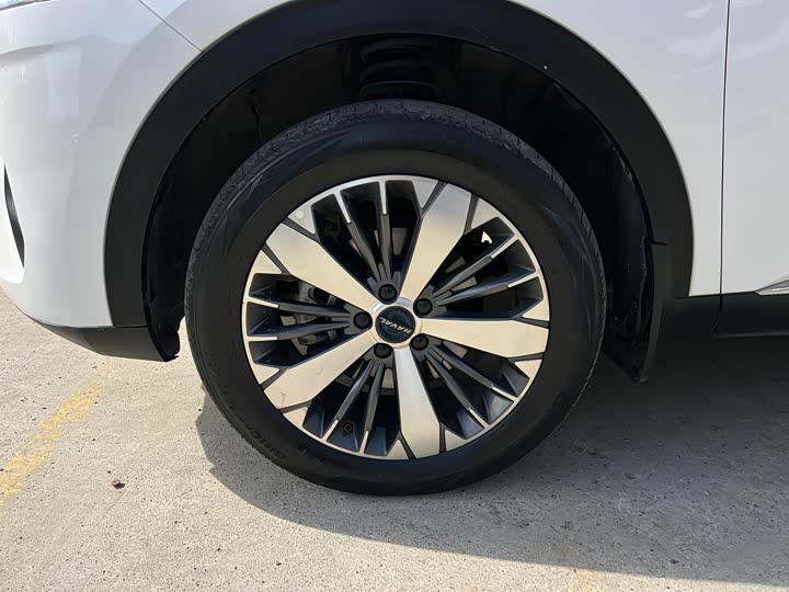 Фото 32 - Haval F7x