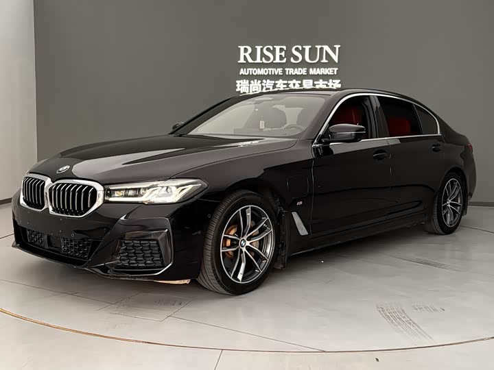 Фото 21 - BMW 5 Series Hybrid