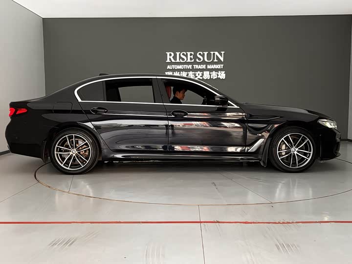 Фото 23 - BMW 5 Series Hybrid