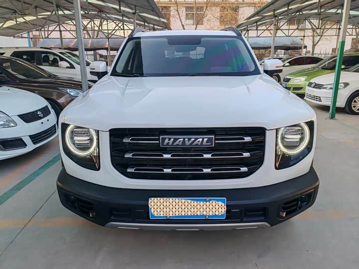 Фото 2 - Haval Dargo