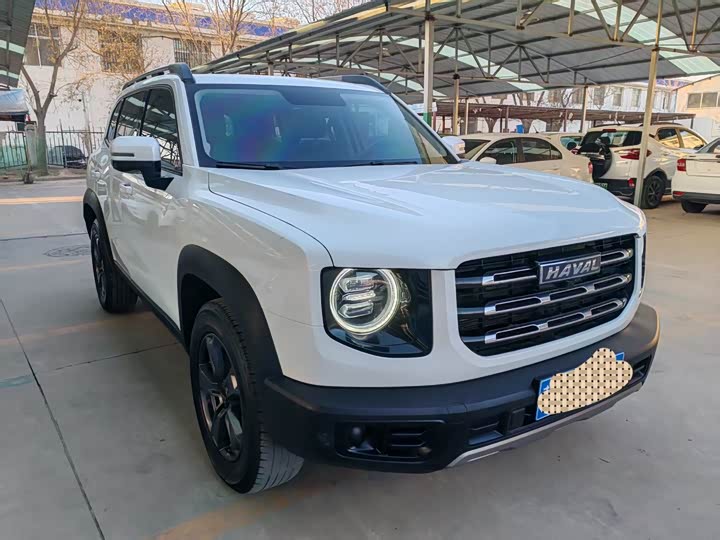 Фото 3 - Haval Dargo