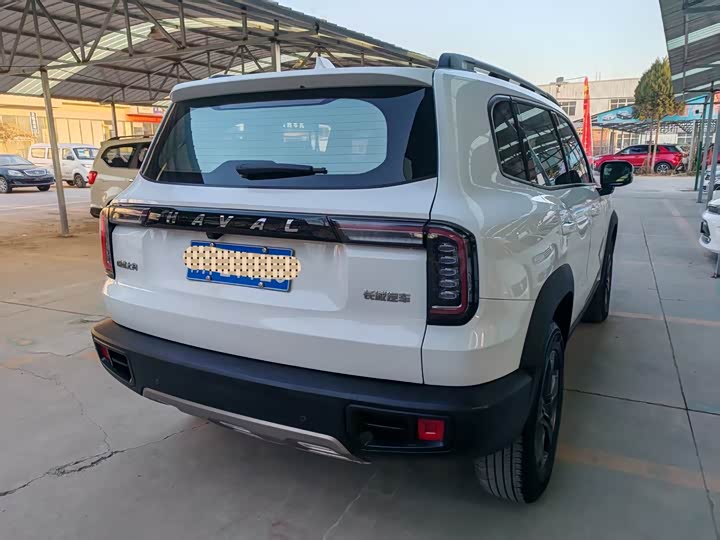 Фото 7 - Haval Dargo