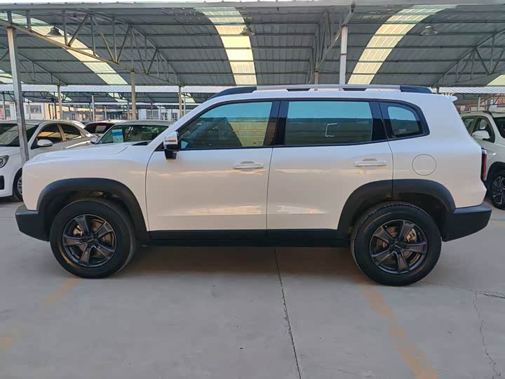 Фото 8 - Haval Dargo