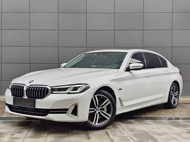 Фото 1 - BMW 5 Series Hybrid