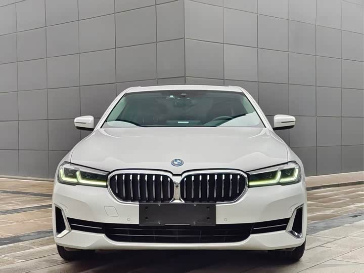 Фото 2 - BMW 5 Series Hybrid