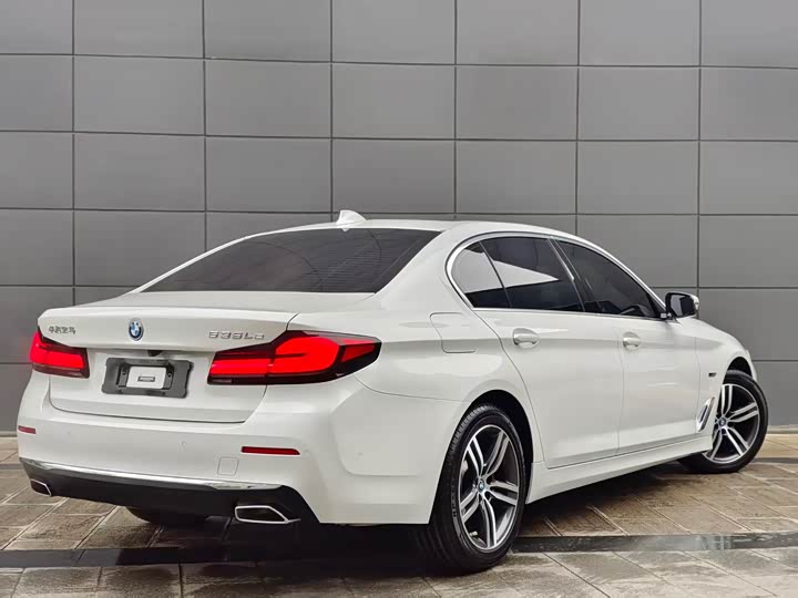 Фото 3 - BMW 5 Series Hybrid