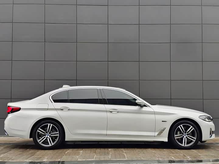 Фото 5 - BMW 5 Series Hybrid