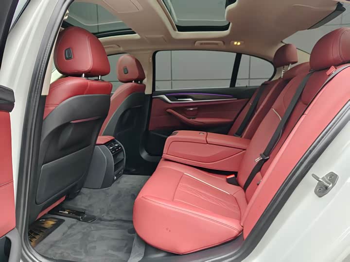 Фото 8 - BMW 5 Series Hybrid