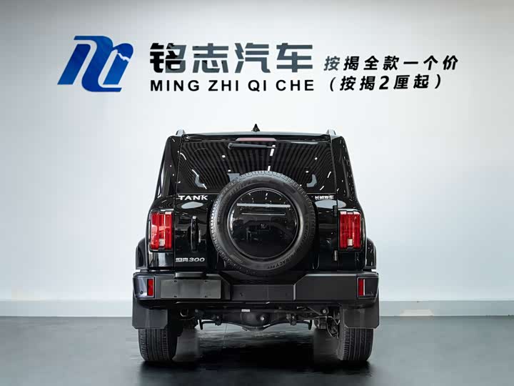 Фото 6 - Tank 300