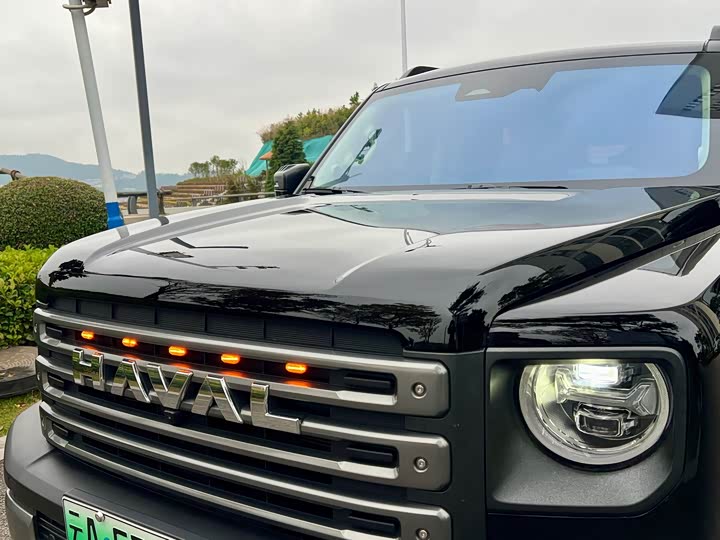 Фото 30 - Haval Raptor Hybrid