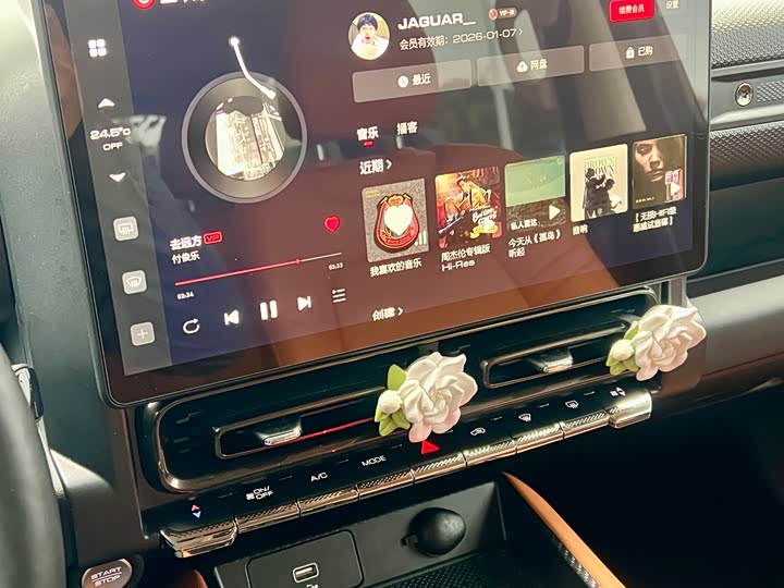 Фото 39 - Haval Raptor Hybrid